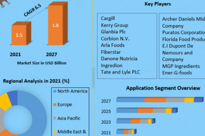 Egg Replacers Market- Trends, Segmentation, Regional Outlook, Future Plans and Forecast to 2027