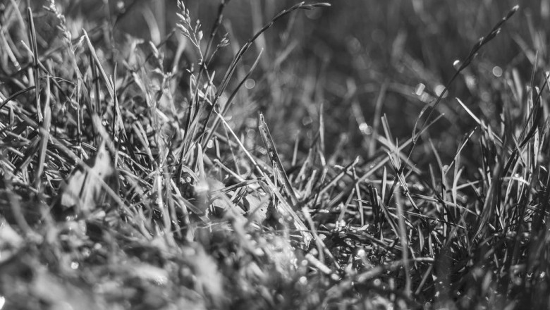 20 trailblazers leading the way in living room sets for small apartments