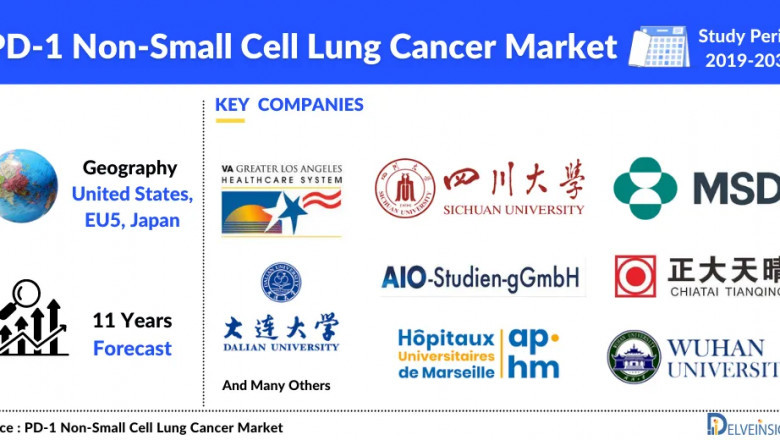 According to DelveInsight, the PD-1 Non-Small Cell Lung Cancer Market in 7MM is expected to witness a major change in the study period 2019-2032