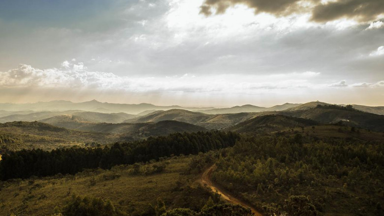 dont make this silly mistake with your yorkshire terrier for sale near me