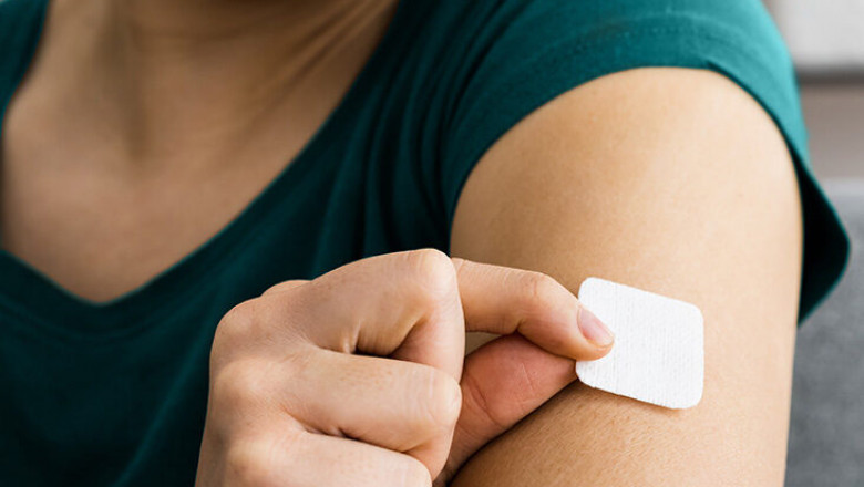 Drug Delivery Through Skin Portals To The Bloodstream With Transdermal Skin Patches