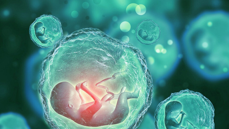 Get The Best Embryo Freezing Cost In Mumbai