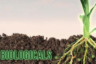 Global Agricultural Biologicals Market 2022 - Top Key Players Analysis Report Till 2028