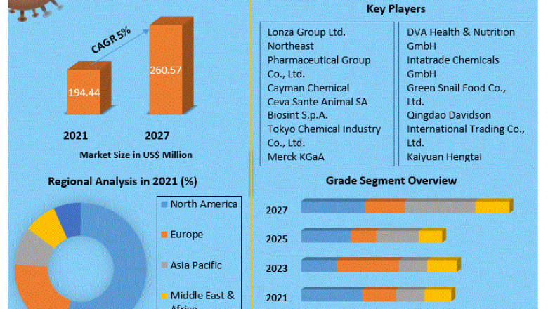 L-Carnitine Market: 2021 Comprehensive Research, Market Definition and Business Operation Data Analysis by 2027