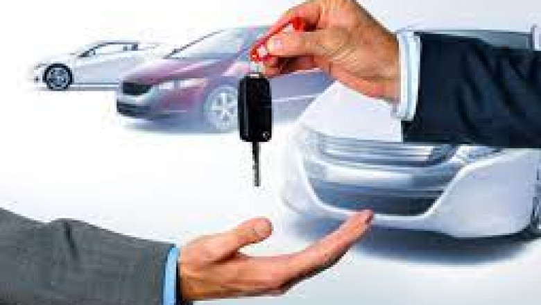Luxury Rental Bae Services | Michael Merisier