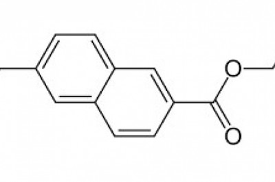 Polyethylene Naphthalate Market Share, Revenue and Growth Analysis Report Till 2028 | Value Market Research