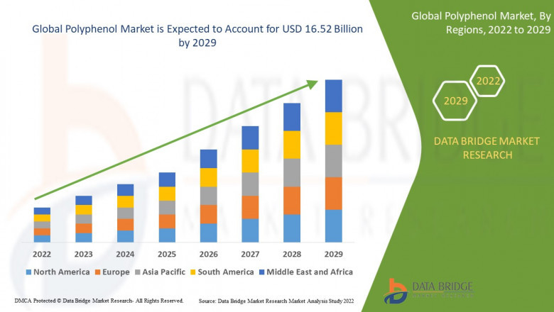 Polyphenol Market Growth Global Health Infrastructure