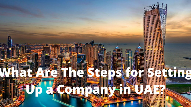 What Are The Steps for Setting Up a Company in UAE?