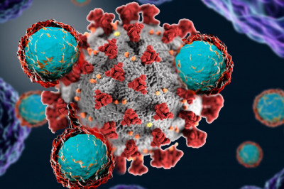 Global Self Assembling Vaccines Market Size, Estimation, Dynamics and Forecast, 2022-2028
