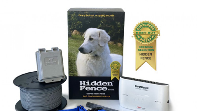 IS AN E-COLLAR BETTER THAN A SHOCK COLLAR?