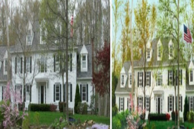 What Are The Different Reasons Portraits Are Painted For?