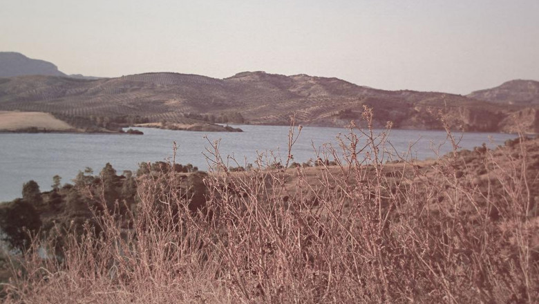 what i wish i knew a year ago about bravo gcmaf yogurt