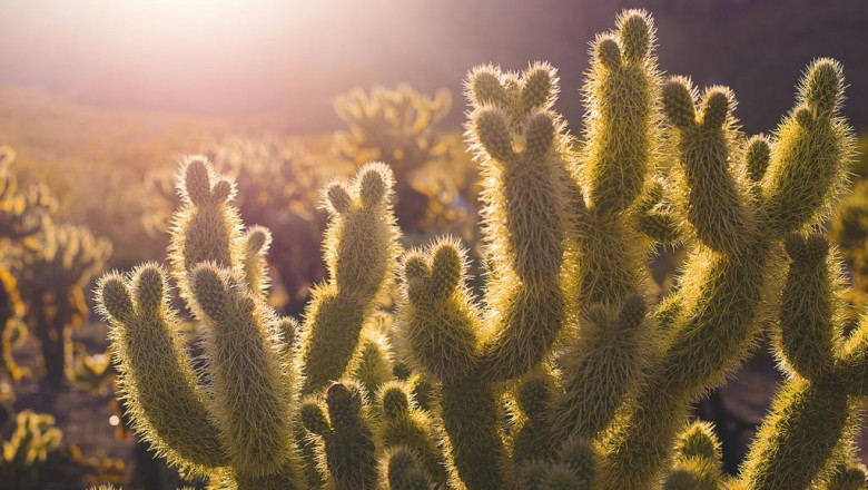 5 qualities the best people in the things to do near me industry tend to have