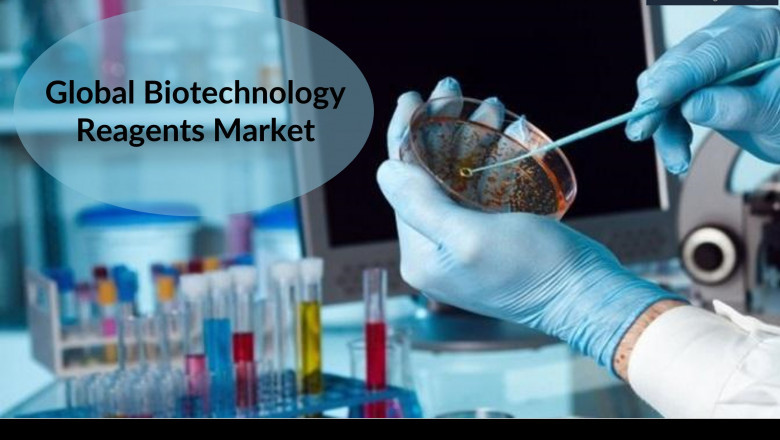 Global Biotechnology Reagents Market Outlook | Size, Share & 6Wresearch