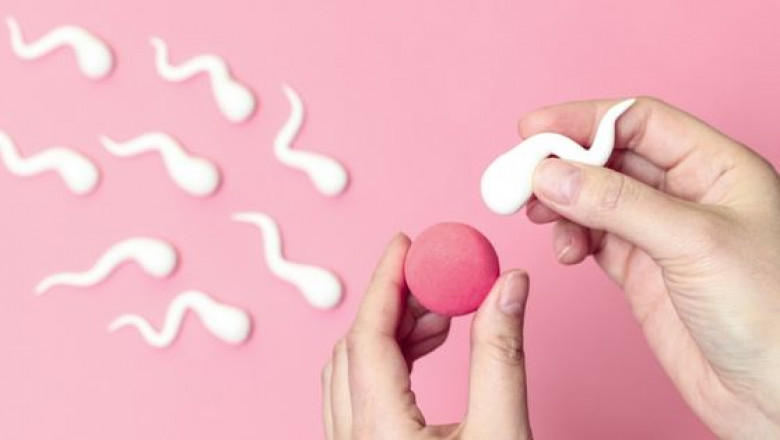 Know The Effects of Smoking on Male and Female Fertility