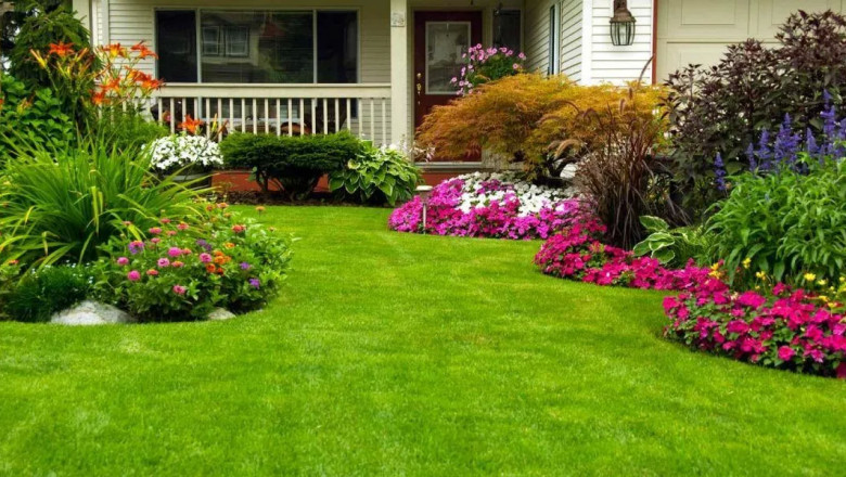 Reliable, Efficient, And Affordable Lawn Mowing Services Near You
