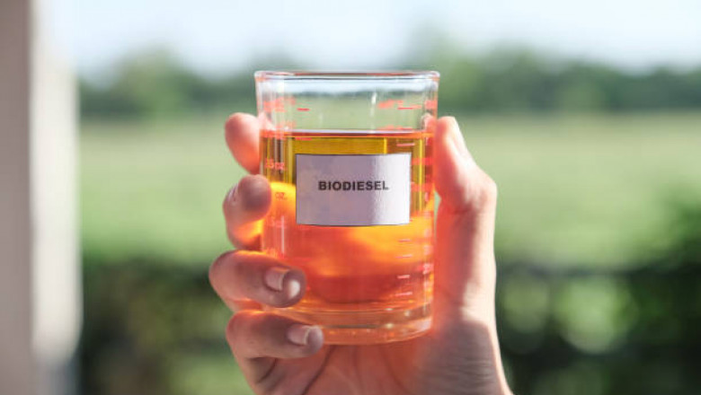 Biodiesel Market Size, Historical Growth, Analysis, Opportunities and Forecast To 2031