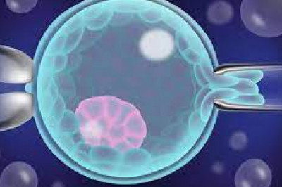Preimplantation Genetic Testing Market Size, In-depth Analysis Report and Global Forecast to 2028