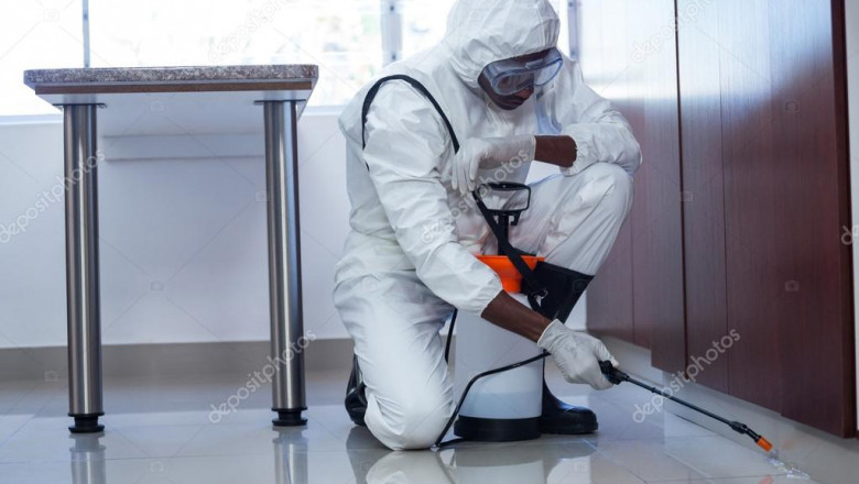 Pest Control Tips for Your Home and Office