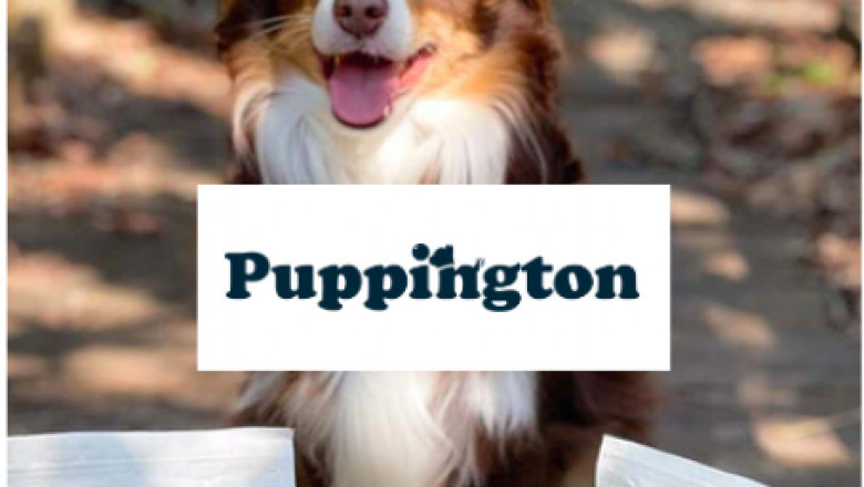 Puppingtion Pup Wax®The Pup Wax® range is toxin-free.- the best dry dog nose treatment