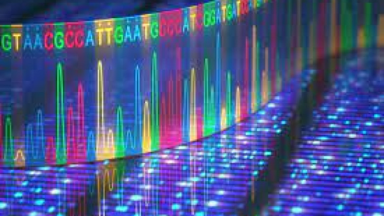 Global Protein Sequencing Market 2022 - Top Key Players Analysis Report Till 2028