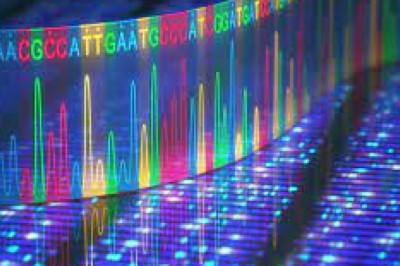 Global Protein Sequencing Market 2022 - Top Key Players Analysis Report Till 2028