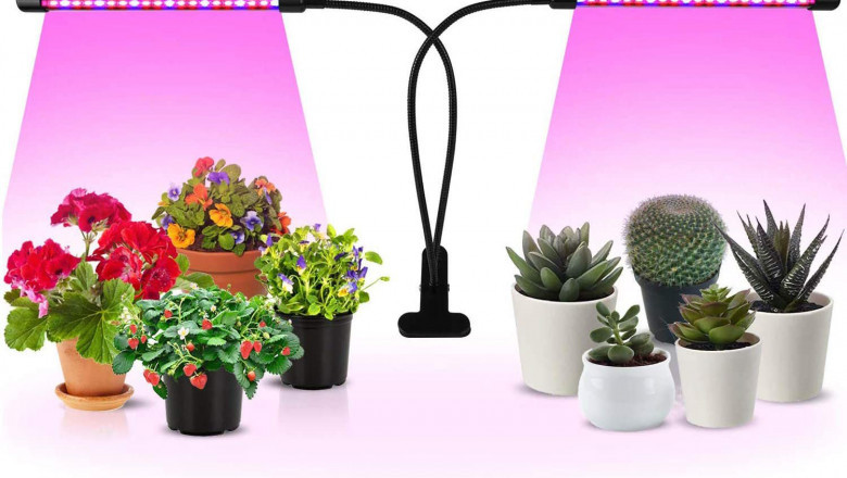 Grow Light Market Size, Key Players Analysis And Forecast To 2028 | Value Market Research