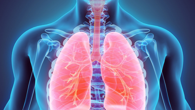 Recognition and Bovine Respiratory Disease Treatment are crucial to the effectiveness of treatment