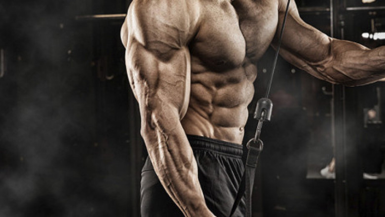 Why BCAA is So Important for Every Bodybuilder | GXN