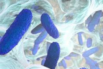 Biofilms Treatment Market Insight | Outlook | Growth Analysis Report 2022-2028