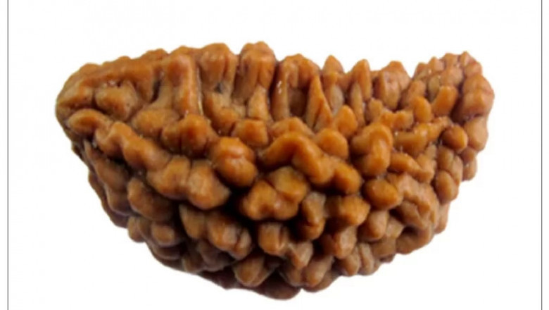 Buy Original Rudraksha Online