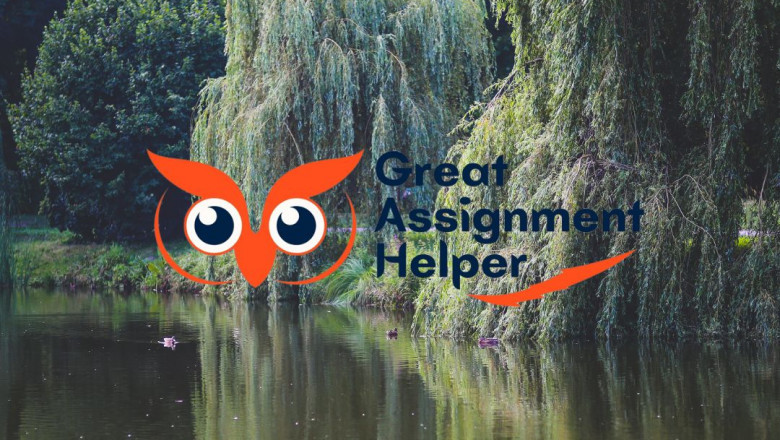 Data mining assignment help | Great assignment helper