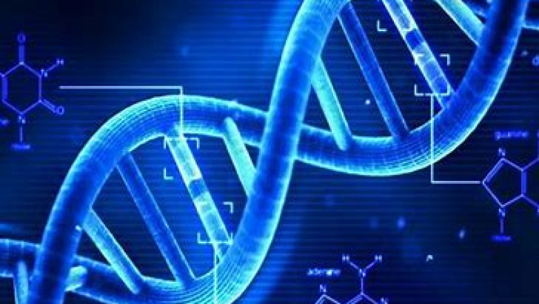 Genomics Market Analysis, Size, Share, Growth, Trends, Forecast To 2028