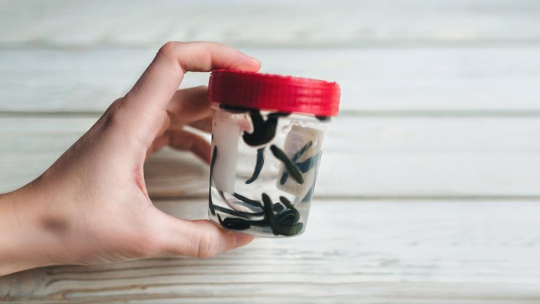 Hirudin Products Market Size, Share &amp; Trends Analysis And Segment Forecasts, 2022 - 2030