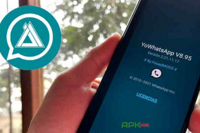 Install delta WhatsApp messaging app for mobile