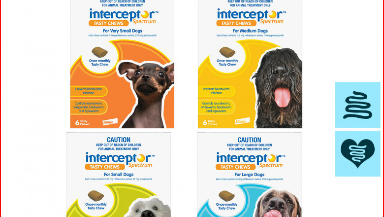 INTERCEPTOR Spectrum 6 Doses for Worms Control in Dogs