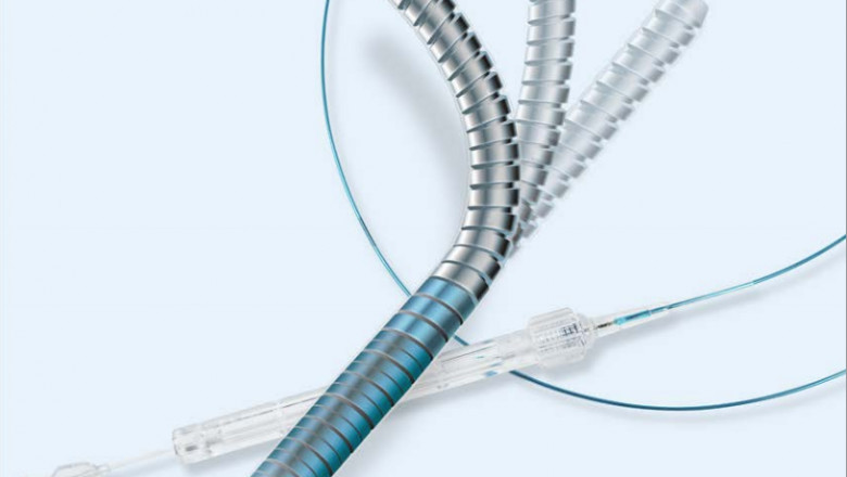 Microcatheters Market [+Porter's Five Forces Analysis] | Statistics And Forecast To 2029