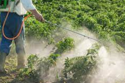 Pesticide Inert Ingredients Market Size, Share, Regional Overview and Global Forecast to 2028