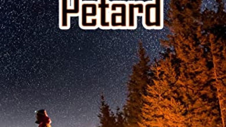 Schizophrenia is a Very Serious Mental Illness