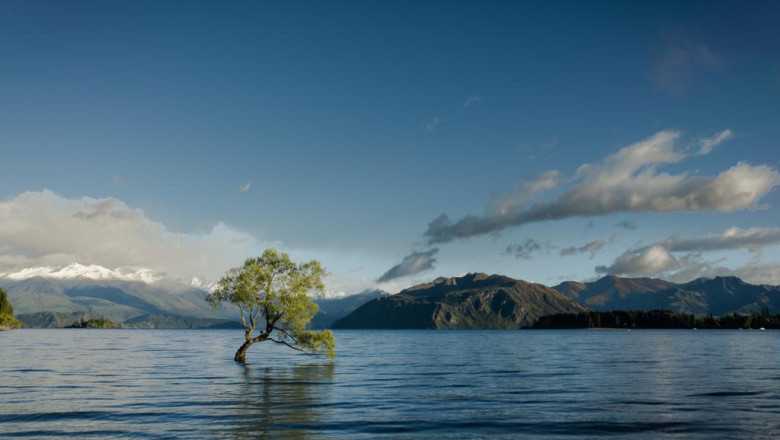 effective occasion check