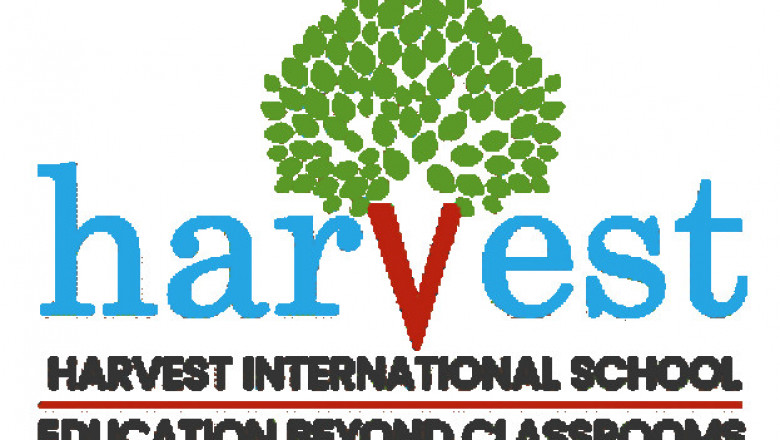 International Schools In Whitefield: Expectations vs. Reality