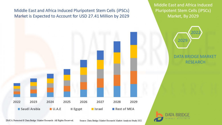 Middle East and Africa Induced Pluripotent Stem Cells (iPSCs) Market Industry Size, Impact of COVID-19, Segmentation, Application Analysis, Trends, & Forecast by 2029.