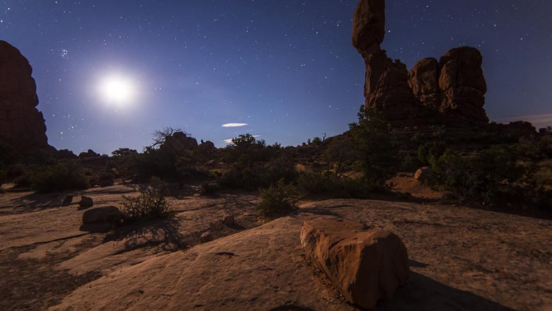 what is worker tracking belows all you need to know