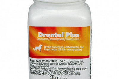Wormers Treatment for Small Dogs - Drontal Plus