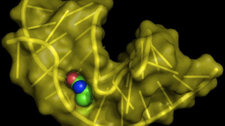 Aptamers Have a Substantially Longer Shelf Life Than Antibodies