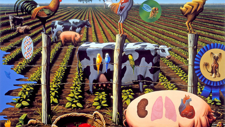 Know what is Animal Genetics?