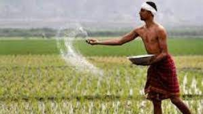 Microencapsulated Pesticides Market Size, Share, Growth, Opportunities and Global Forecast to 2028