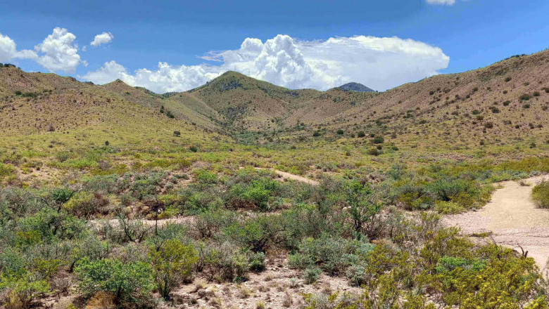 Retreats offer advantages that extend beyond vacations and into daily life.