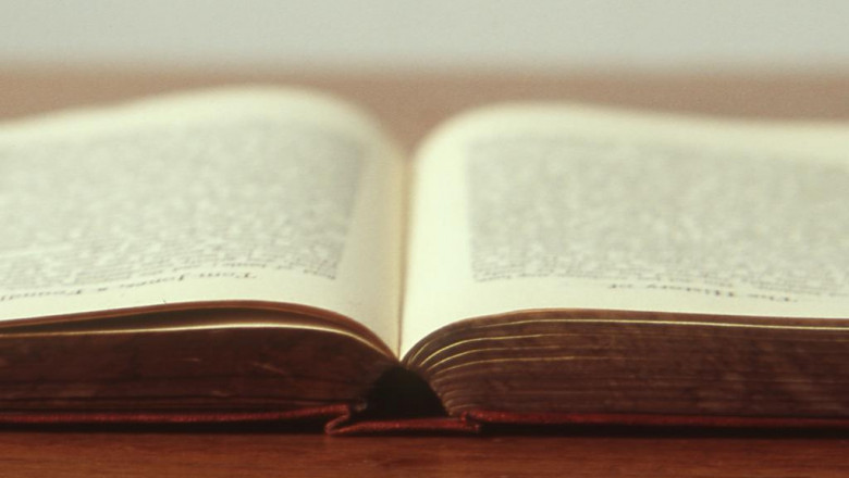 the best advice you could ever get about milk donkey