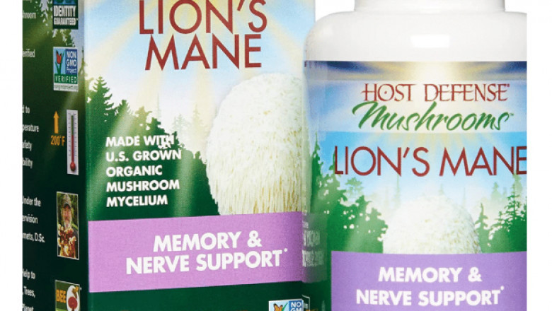 The Best Lions Mane Supplement | Improve Mental And Physical Performance